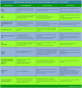 Innovation Spaces in the Muslim World - Inputs and Outputs