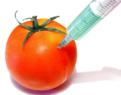 genetically modified food pros and cons essay