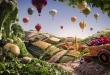 Featured Essay no.1: Innovating Foodscapes