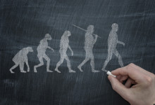 Task Force Essay: Evolution and Islam – Is there a contradiction?