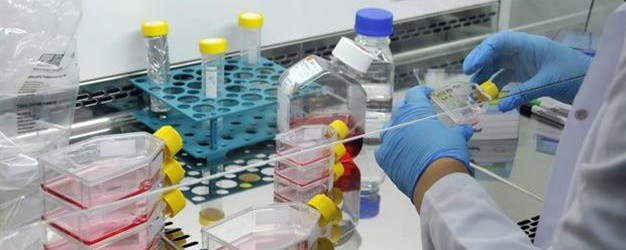 Turkey’s top science body to produce biosimilar cancer drugs