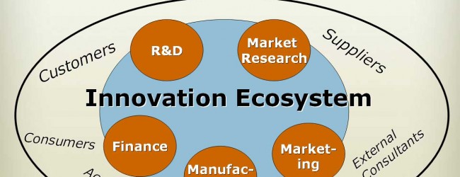 Islam Analysis (24): Building a healthy innovation ‘ecosystem’