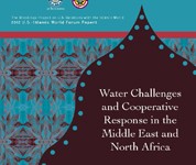 Report: Water Challenges and Cooperative Response in the ME&NA