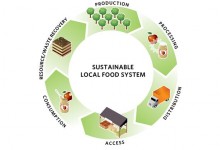 Changing Dynamics of Food Security