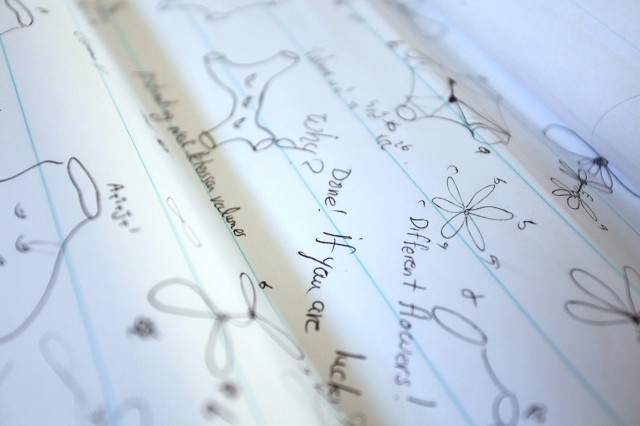 Mirzakhani, who says she thinks about mathematics in pictures, often doodles her ideas on giant sheets of paper.