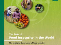 The State of Food Insecurity in the World