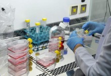 Turkey’s top science body to produce biosimilar cancer drugs