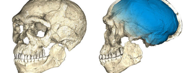 Morocco’s Earliest Human Fossils Suggest a Different Timeline of Evolution